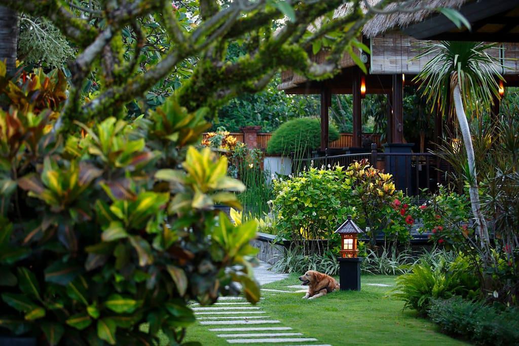 Villa L'Orange Bali Desa Desa Keramas Rum bild